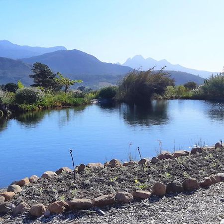 Gecko Cottage At Artemis Franschhoek Kültér fotó